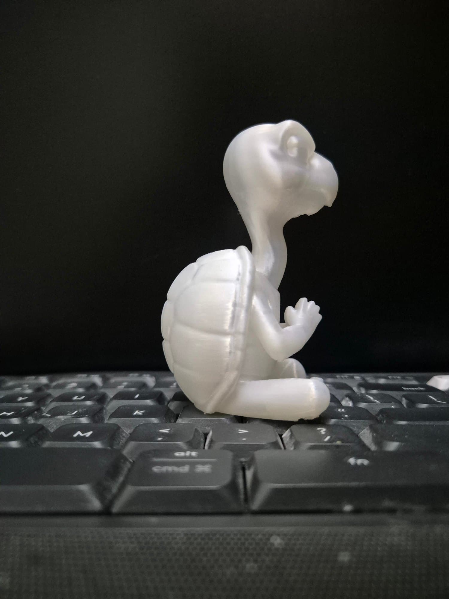 Sane Turtle — size and scale reference