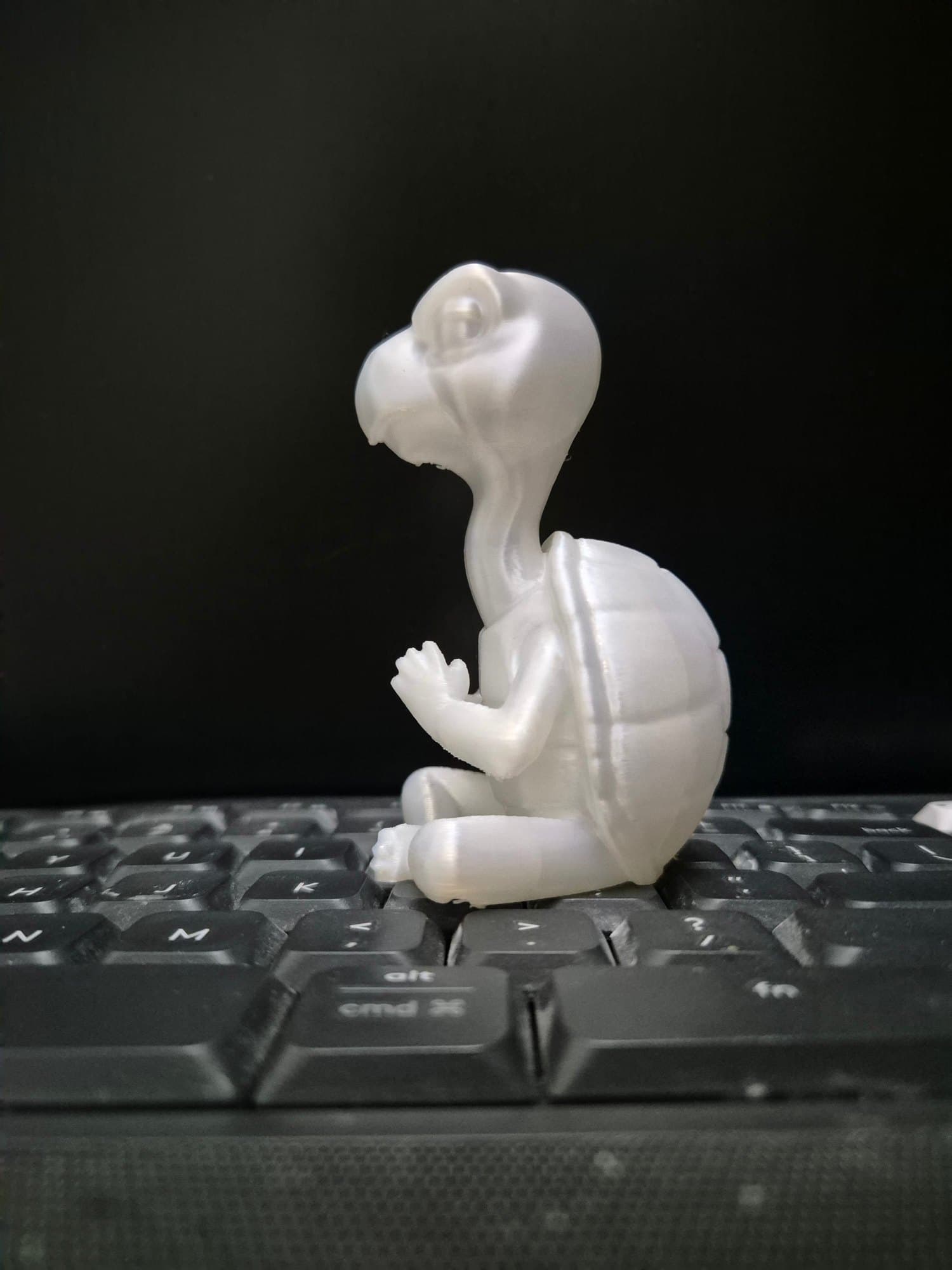 Sane Turtle — detail view 4