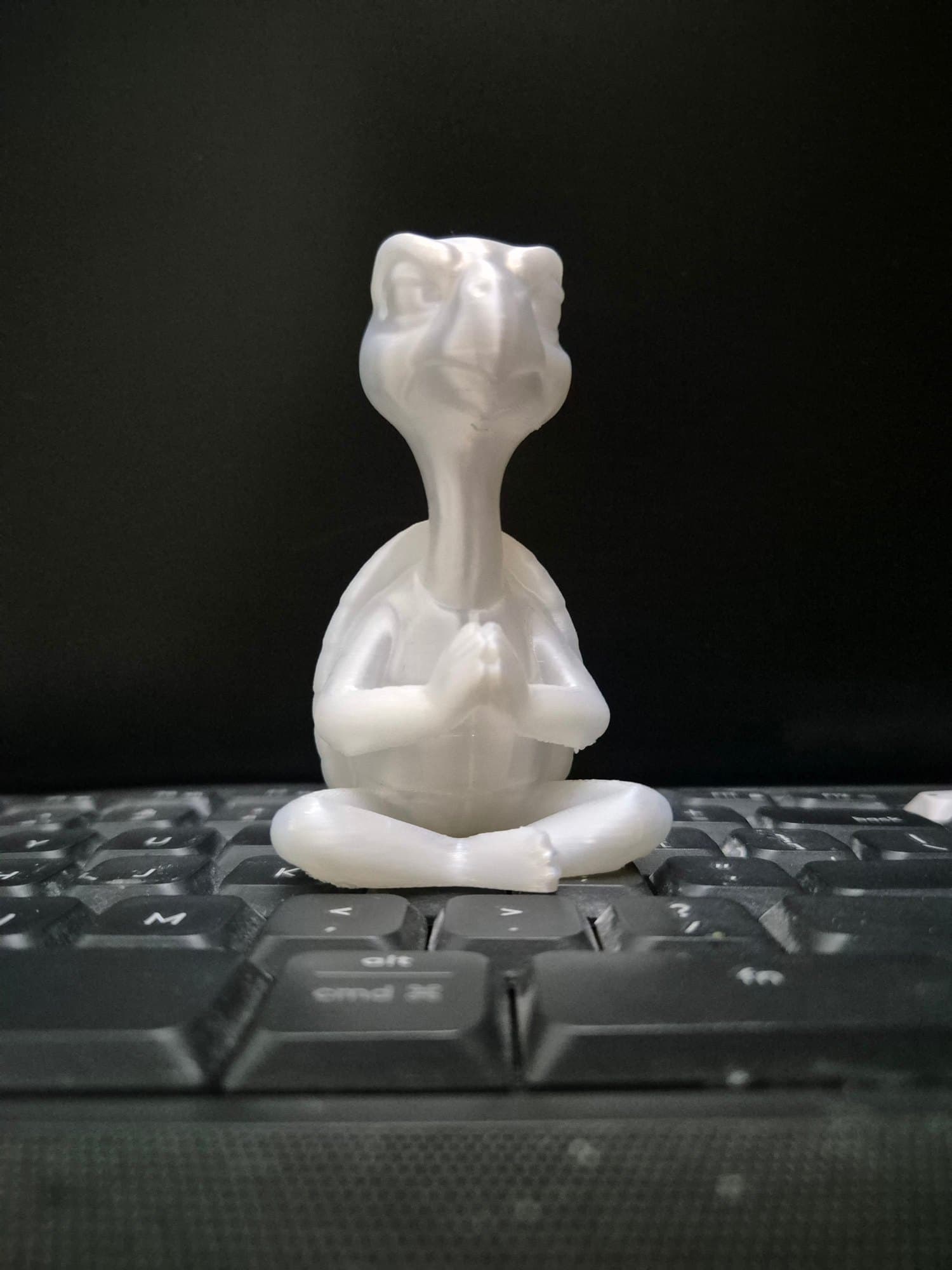 Sane Turtle — Handcrafted 3D Print by Dastaan Hyderabad